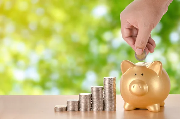 Man hand met munten wilt geld besparen met gouden piggy bank gr — Stockfoto