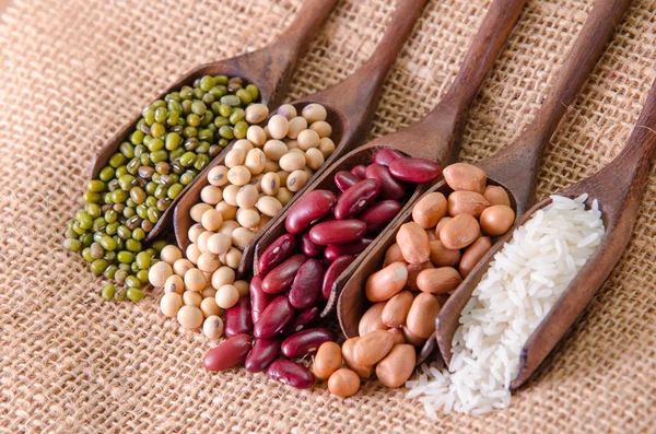 Many type of beans set in wooden spoon — Stock Photo, Image