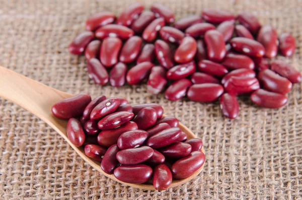 Red kidney beans in wooden spoon — Stock Photo, Image