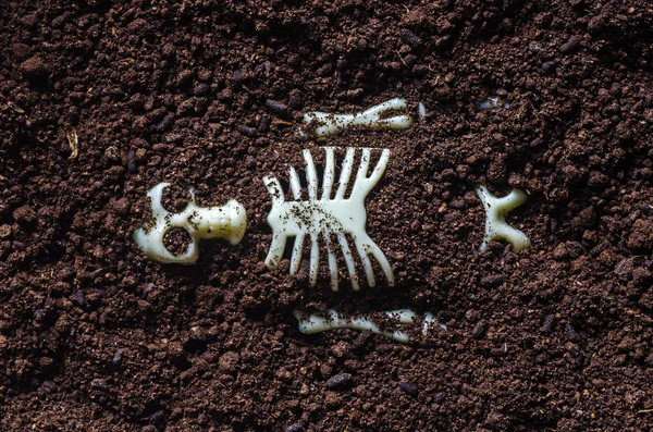Искусственный скелет человека в почве — стоковое фото