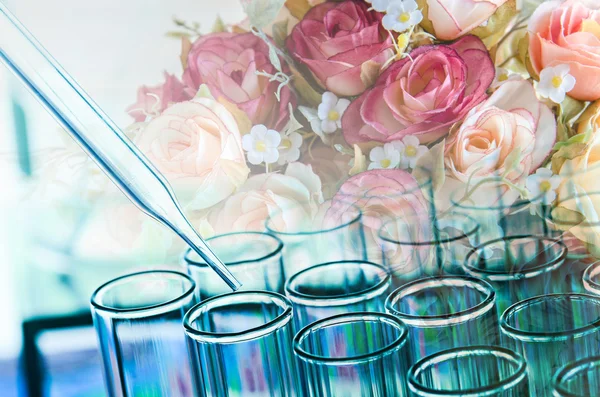 Подвійне опромінення наукової лабораторії пробірки і квітка, на — стокове фото