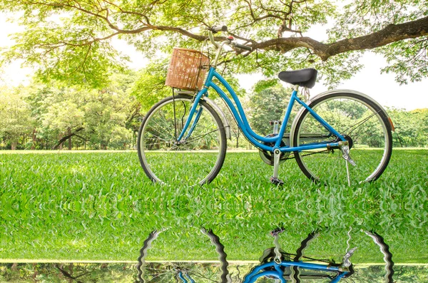 自行车在绿色公园 — 图库照片