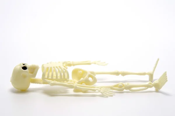 Esqueleto humano artificial sobre fondo blanco — Foto de Stock