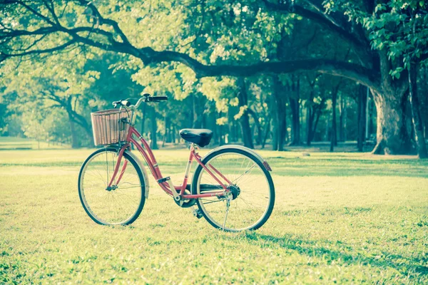 Rode fiets in groen park — Stockfoto