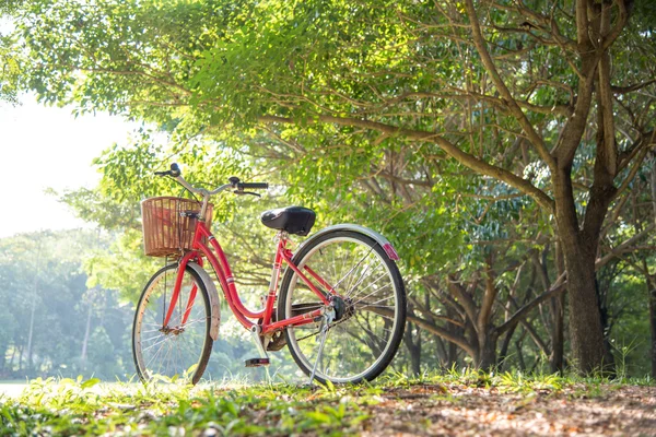 在园林绿化中的红色自行车 — 图库照片