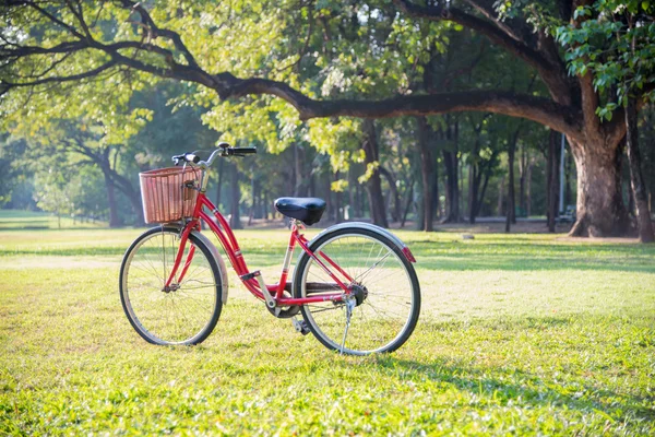 Red bicycle in green park — Stock Photo, Image