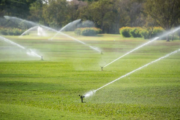 Watering in green grass field — Stock Photo, Image