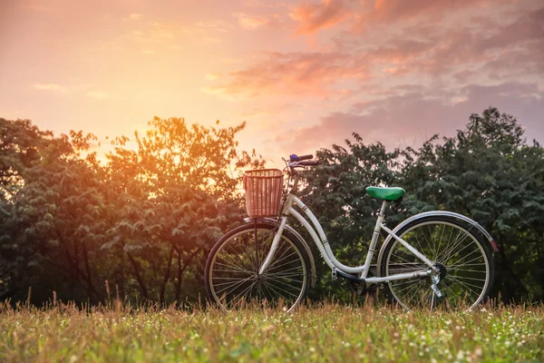 Witte fiets in groen park — Stockfoto