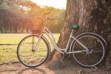 yeşil park Beyaz Bisiklet