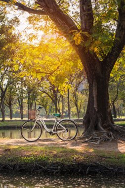 yeşil park Beyaz Bisiklet