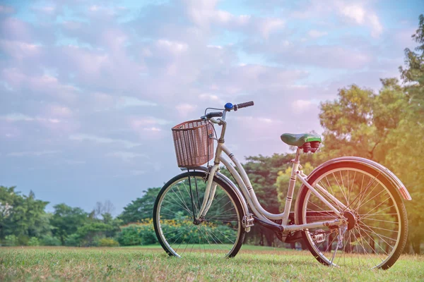 Hvid cykel i grøn park - Stock-foto