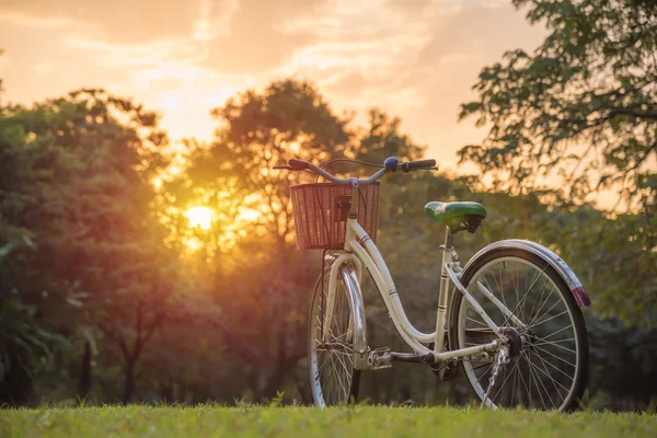 Bicicletta bianca nel parco verde — Foto Stock