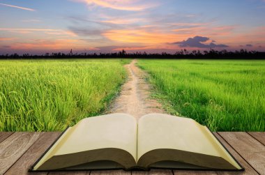 kitap ile yeşil alan arka plan açık