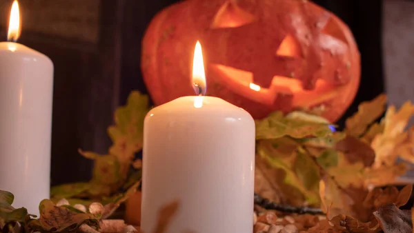 Vacanza Helwin Foglie Albero Con Candele Zucca — Foto Stock