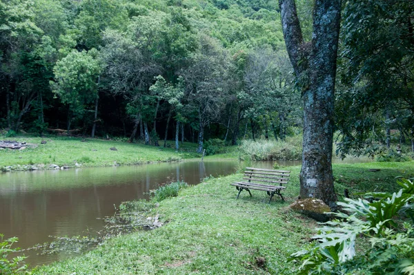 Banco Madera Orilla Del Lago Con Árboles Alrededor — Foto de Stock