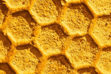 Balmumu deseni, altıgen hücre şekilli altın bal peteği, arı kovanı makrosu, soyut doğal kirli balmumu tabağı, sarı turuncu renkli geometrik yüzey, tatlı organik gıda dokusu yakın plan,