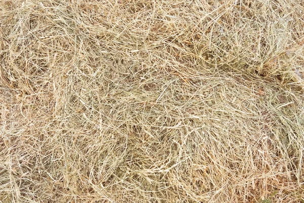 干し草の俵の質感 乾燥した質感のわらの背景 農村部の黄金の干し草 茎のスタックの近く 芝生のパターン 農場での黄色のわらのヒープ 屋外の牧草地に草の上に横たわっている茶色のハーブ — ストック写真