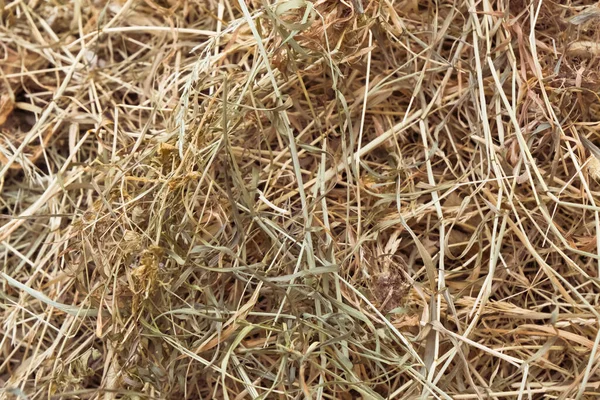 Hay Bale Texture Dry Textured Straw Background Golden Haystack Rural — Stock Photo, Image