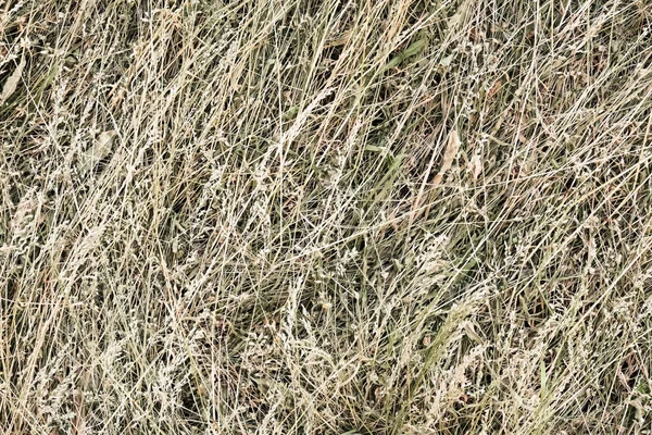 Heuballen Textur Trocken Strukturierter Strohhintergrund Goldener Heuhaufen Auf Dem Land — Stockfoto