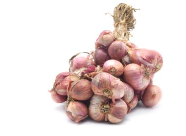 Beyaz arka plan üzerinde Arpacık .