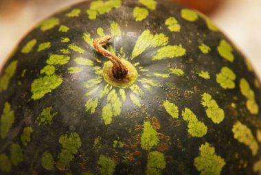 Benekli karpuzun alışılmadık kabuğu. Tatlı nefis..