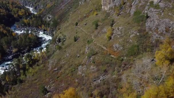 Vuelo sobre el río de montaña entre bosque denso. Vista de aves — Vídeos de Stock