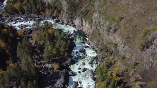 Lot nad górską rzeką wśród gęstego lasu. Widok z lotu ptaka — Wideo stockowe