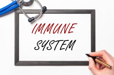 Bağışıklık sistemi yazıtları. Tıbbi metin ya da kelimeler.