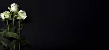 Siyah arkaplanda üç beyaz gül var..