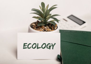 Kağıt üzerinde ekoloji kelimesi. Yeşil ofis ve ev kavramı.