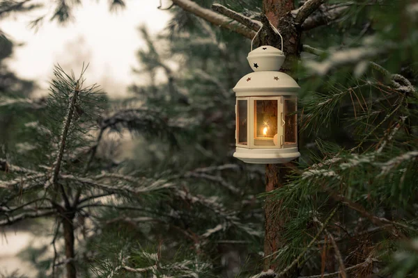 Glowing Candle Lantern Hanging Fir Tree Branch Winter Forest Christmas — Stock Photo, Image