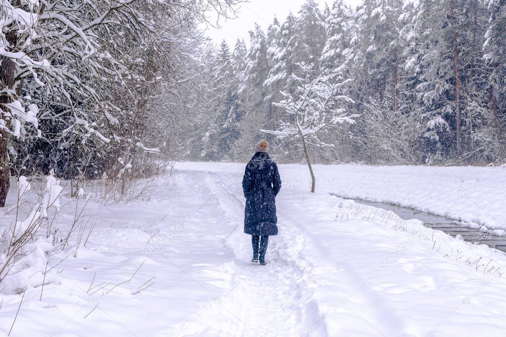 Back of woman in hat with walking away on path in snowy forests. Alone person in snow weather.