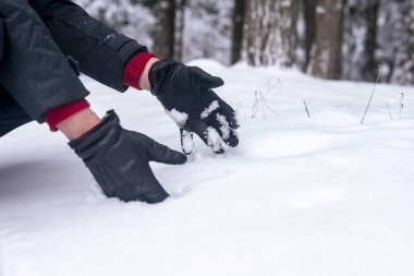 Erkek elleri kartopu yapıyor ya da şekillendiriyor, ormanda kara dokunuyor, kapatın..