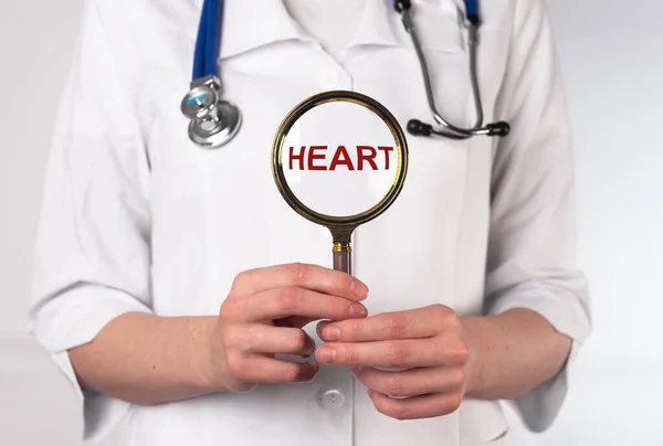 Серцеве Слово Медична Концепція Через Лупу Руках Лікаря — стокове фото