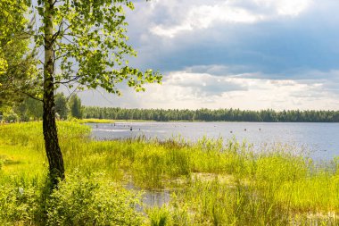 Güneş ışığı ve yağmur bulutları olan doğa manzarası. Yazın su, ağaç, yeşil çimen ve gökyüzü manzarası. Yağmurdan önce