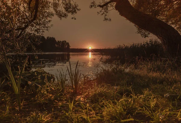 Sunset over water with reflection and sunbeams in nature in summer with trees and grass. Calm peaceful landscape with clear sky, hot sun beams and lake — Stock Photo, Image