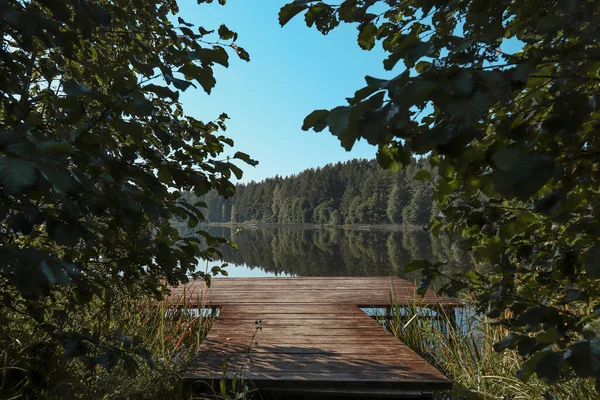 Letni krajobraz z liśćmi drzew na pierwszym planie, lasy na horyzoncie, jezioro, czyste niebo i molo — Zdjęcie stockowe