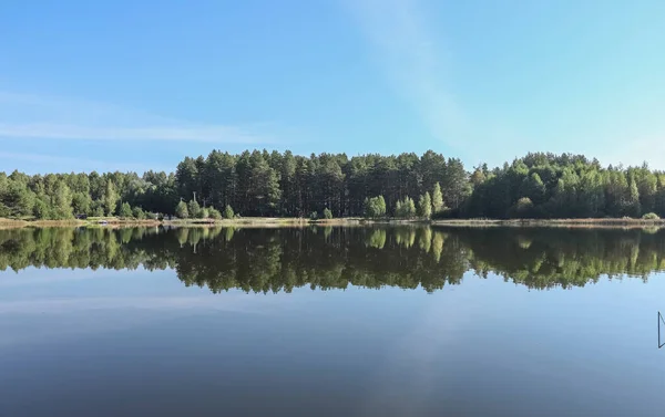 Summer landscape with lake, grass, woods, blue sky in daytime — Stock Photo, Image