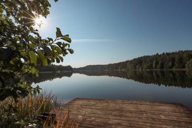 Yaz manzarası Ağaç, orman, göl, berrak gökyüzü ve güneş ışınları