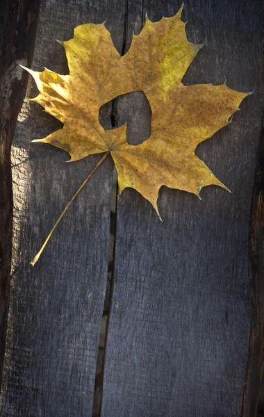 Őszi sárga levél, a heartover fából készült háttér — Stock Fotó