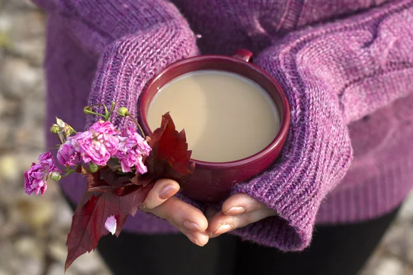 Cup of hot drink in female hands — Stock Photo, Image