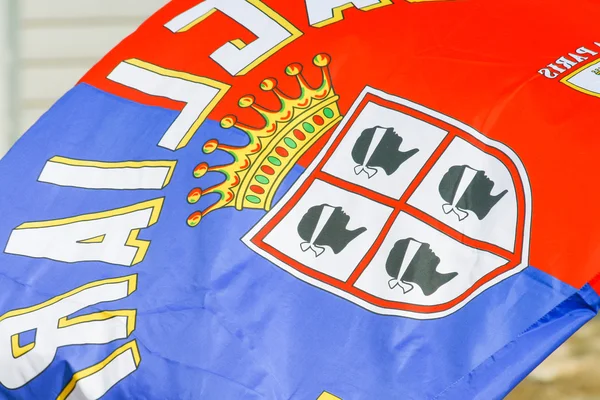 Milano - İtalya - 21 Mart 2015 - Cagliari bayrak futbol kulübü S