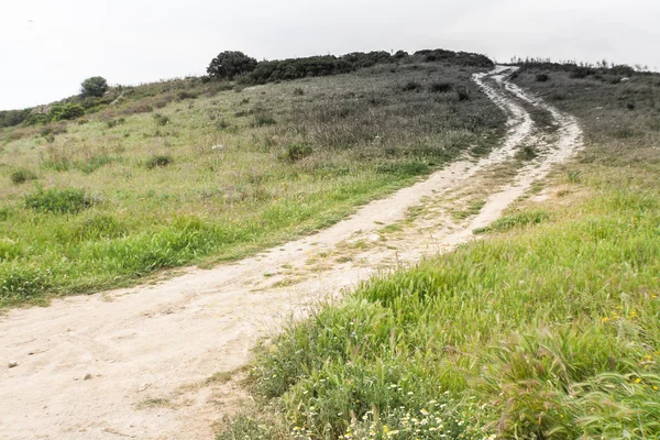 Escuro caminho íngreme campo — Fotografia de Stock