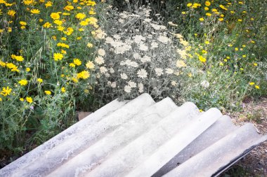 asbest kirliliği doğa