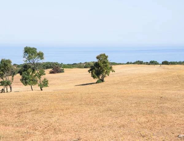 Dziki kraj Sardynii — Zdjęcie stockowe
