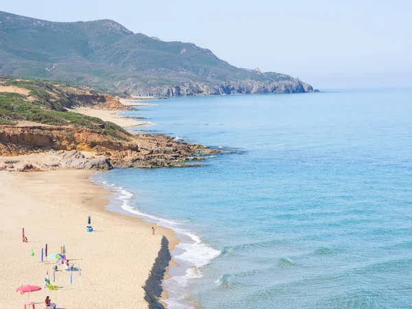 Sardunya vahşi günbatımı