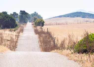 dalgalı köy yolunda