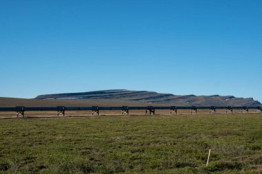 Dalton Karayolu James Dalton Otoyolu 414 millik çakıl yolu. Good 'tan Elliott' a, Kuzey Kutbu tundrasından Alaska 'ya kadar uzanıyor. Burada 360 mil uzunluğunda bir rota inşa edildi.