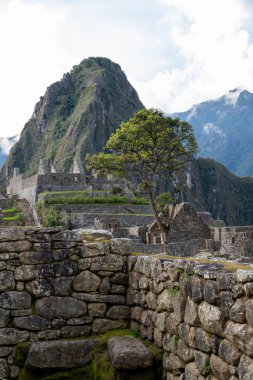 Machu Picchu 'nun Peru' daki panoramik manzarası harabe. Arkasında yeşil bitki örtüsüyle dolu büyük ve güzel dağları takdir edebiliriz. Arkeolojik alan, Unesco Dünya Mirası