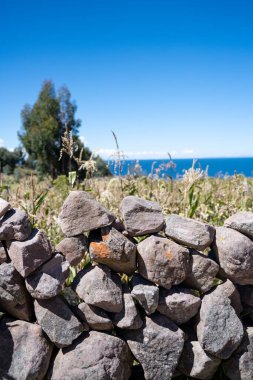 Machu Picchu 'nun Peru' daki panoramik manzarası harabe. Arkasında yeşil bitki örtüsüyle dolu büyük ve güzel dağları takdir edebiliriz. Arkeolojik alan, Unesco Dünya Mirası